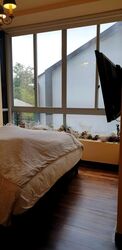 Whitley Road (D11), Terrace #546983541